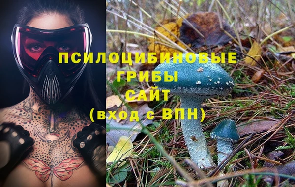 круглые Коряжма