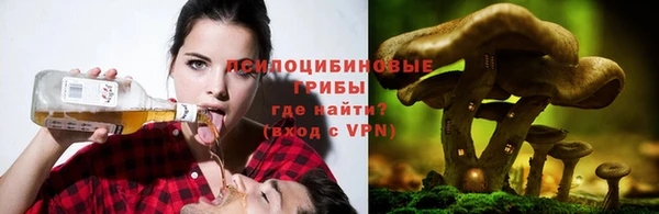 круглые Коряжма