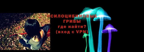 apvp Костерёво